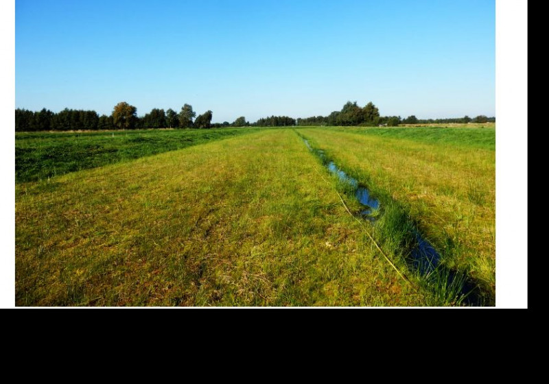 Vernatten veen