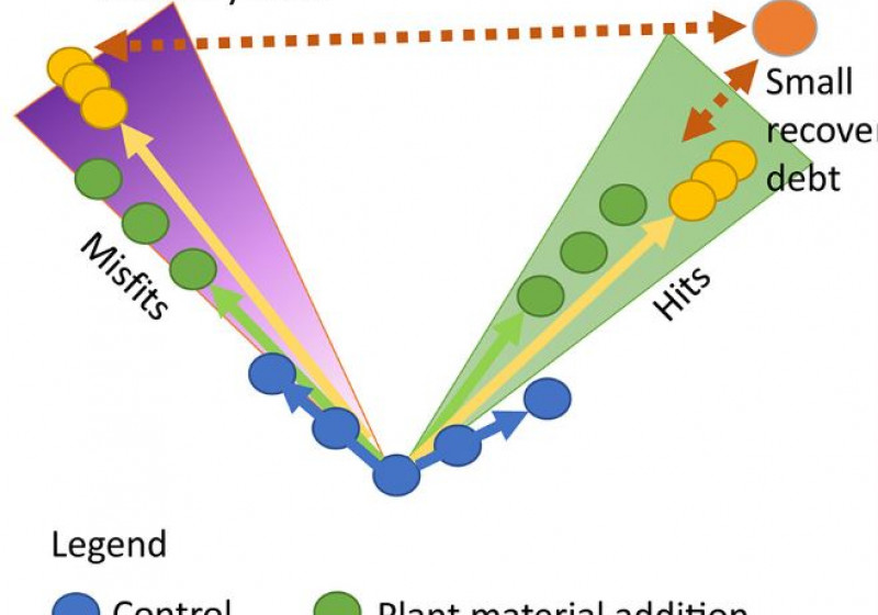 soil translocation
