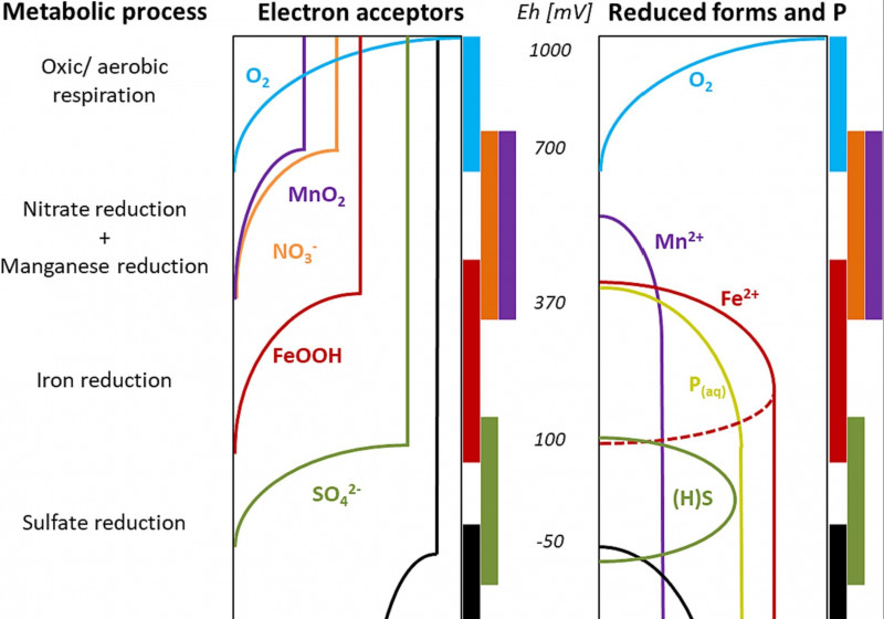 Redox