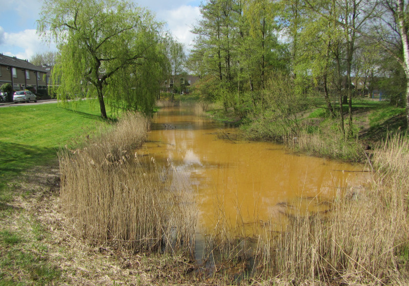 Vijver Apeldoorn