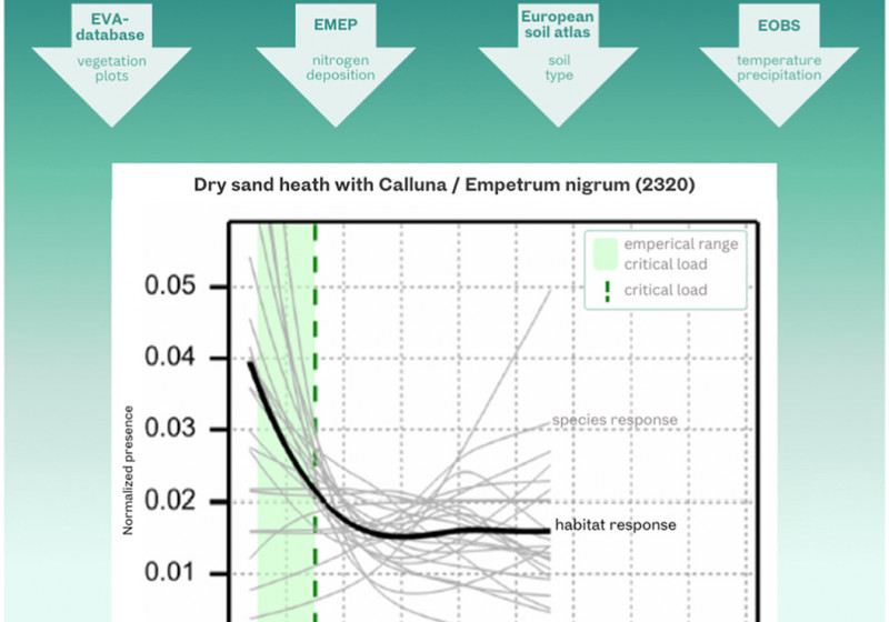 Model response nitrogen