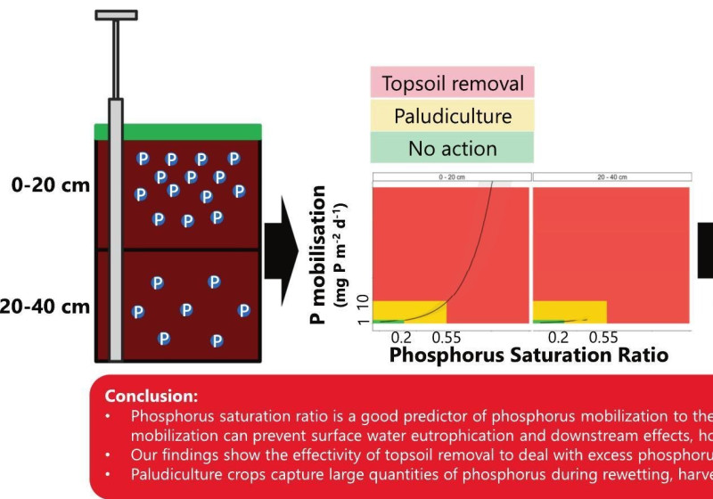 Phosphorus mobilization