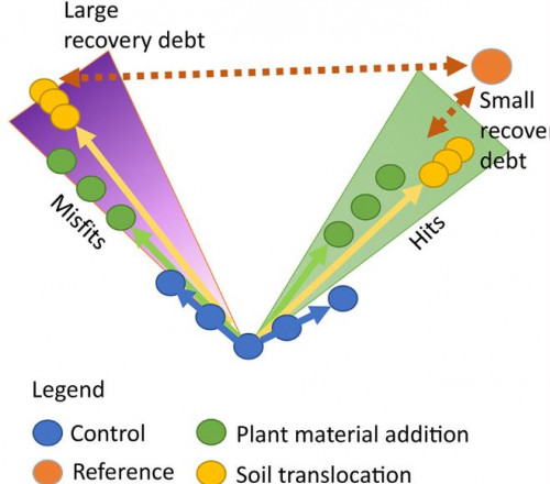 soil translocation