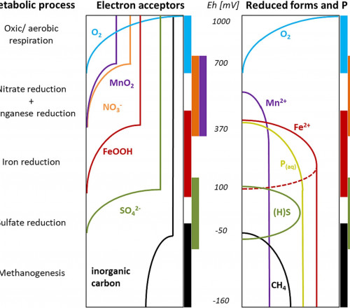 Redox