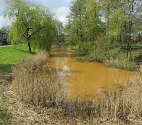 Vijver Apeldoorn