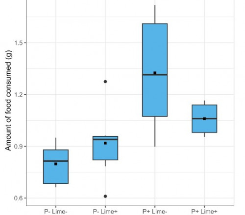 Stoichiometric mismatches