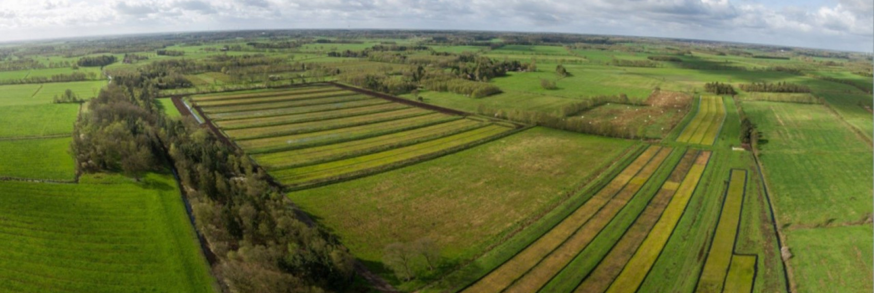 Sphagnum farming