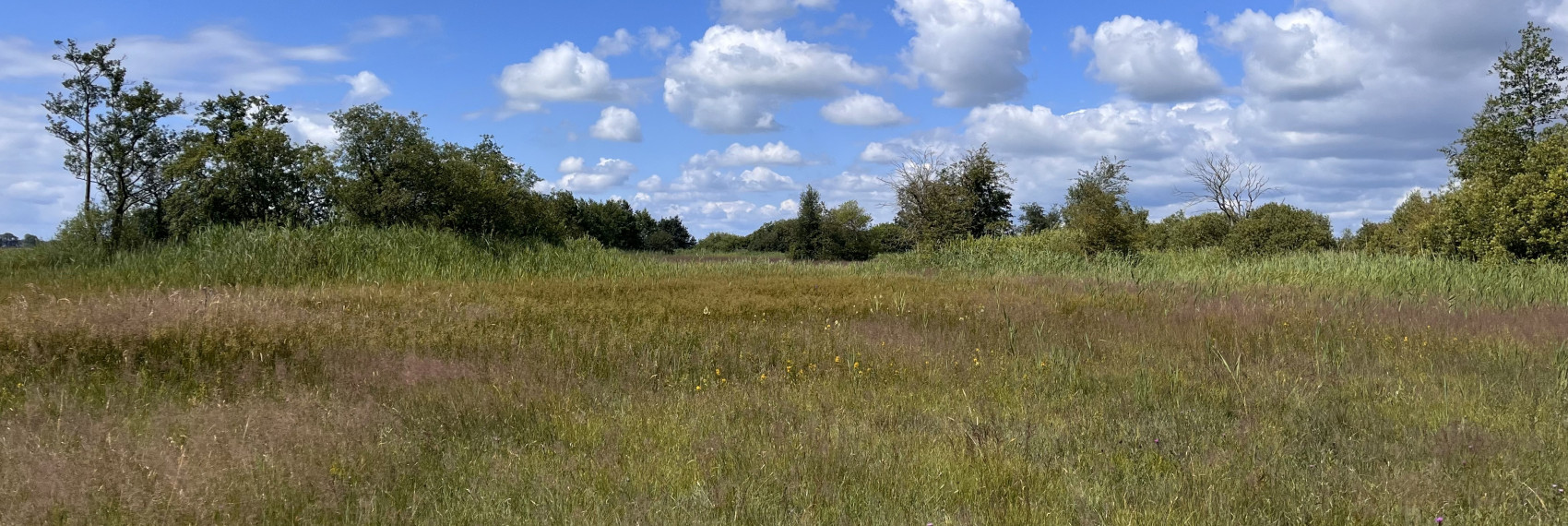 Veerslootslanden