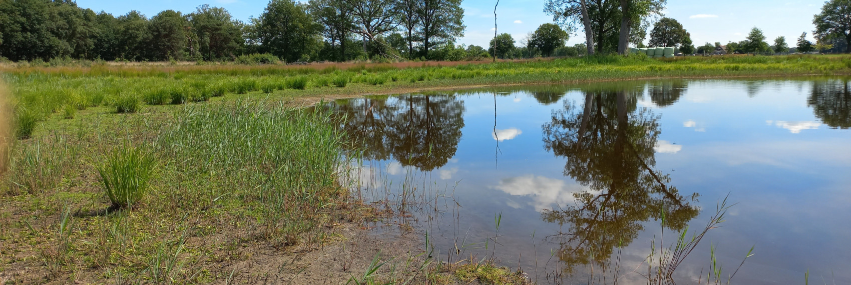 Grote Rietgat