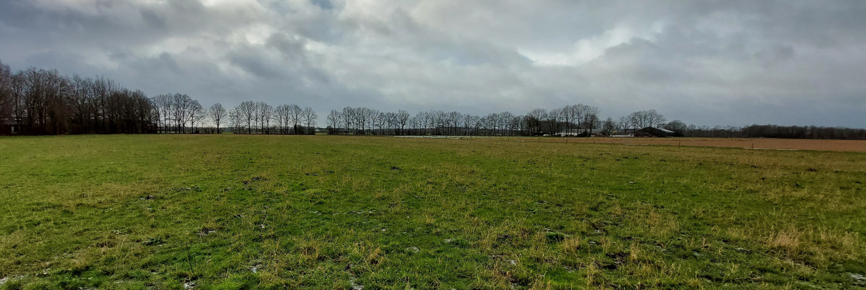 Scharrebroek landbouw