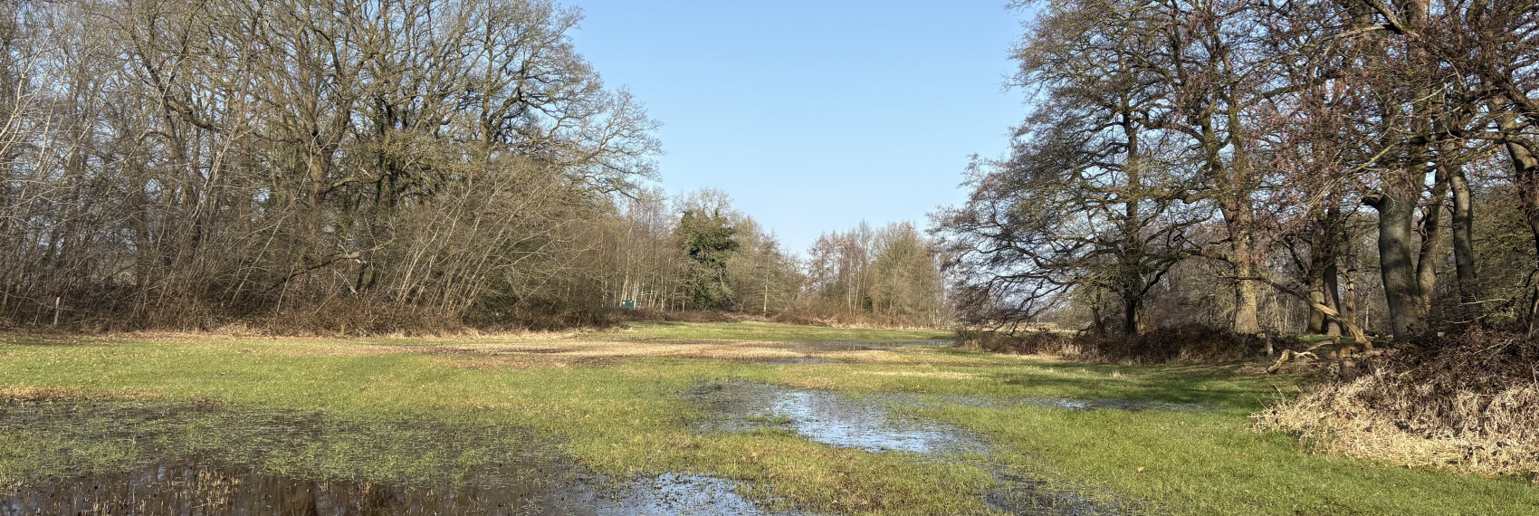 Metbroekbos