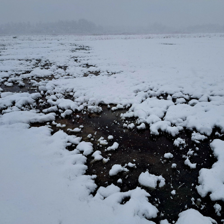 Kwelplekken sneeuw